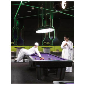 Garden of Delight de Nick Hannes