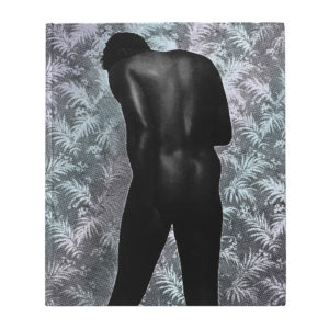 An Aperture Monograph, Ming Smith