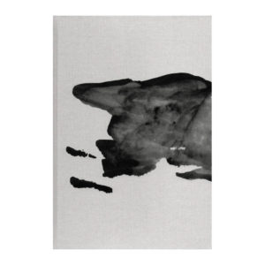 Ícaro d'Irene Zottola