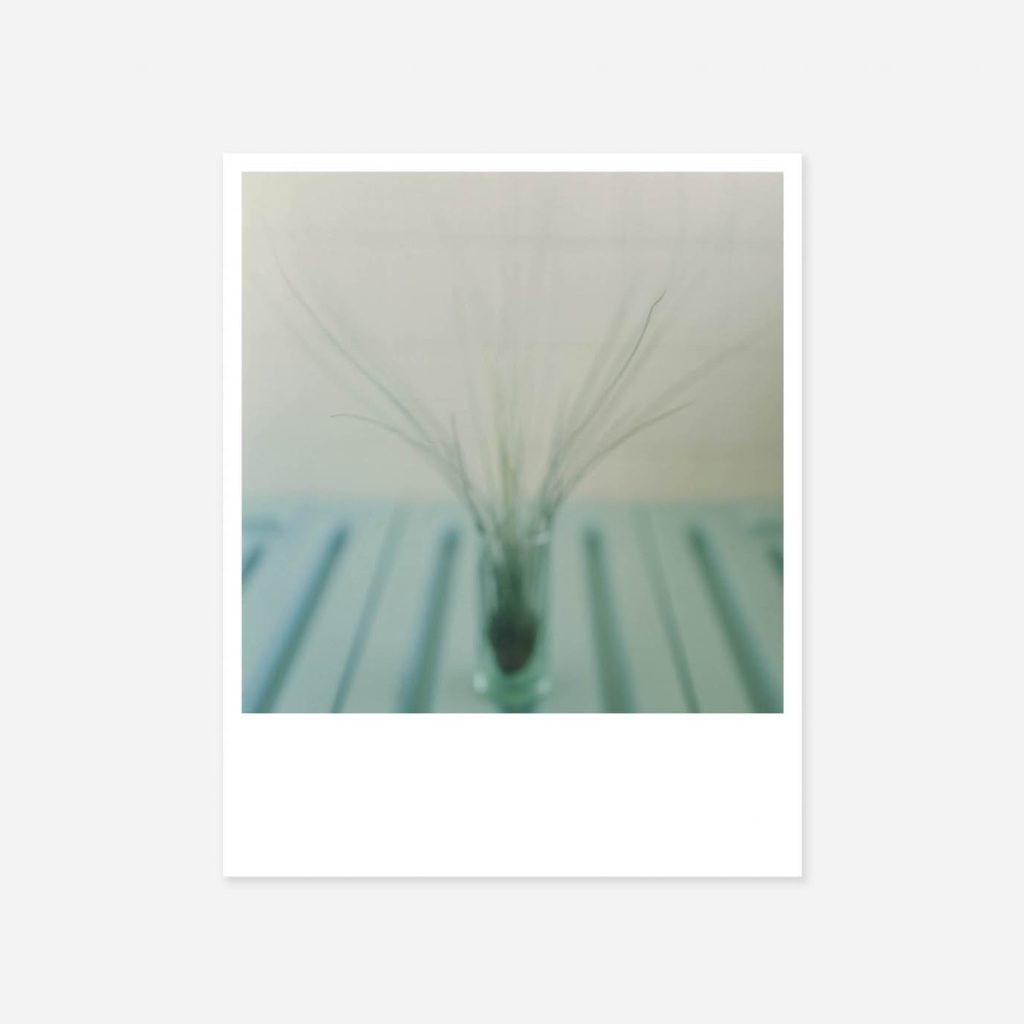 R_Kawauchi_1_web-1500x1377 copie