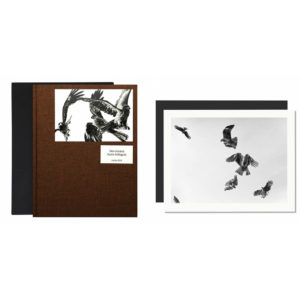 Édition Spéciale : Des Oiseaux de Paolo Pellegrin