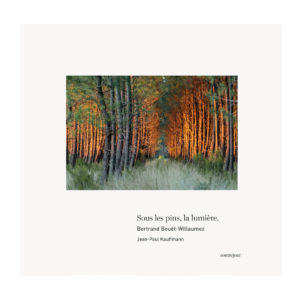 Sous les pins, la lumière de Bertrand Bouët-Willaumez