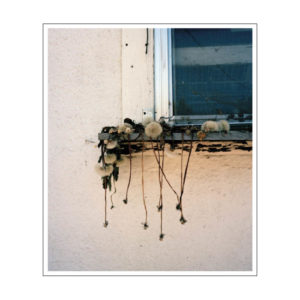 Stick Holding Branch, Wytske van Keulen