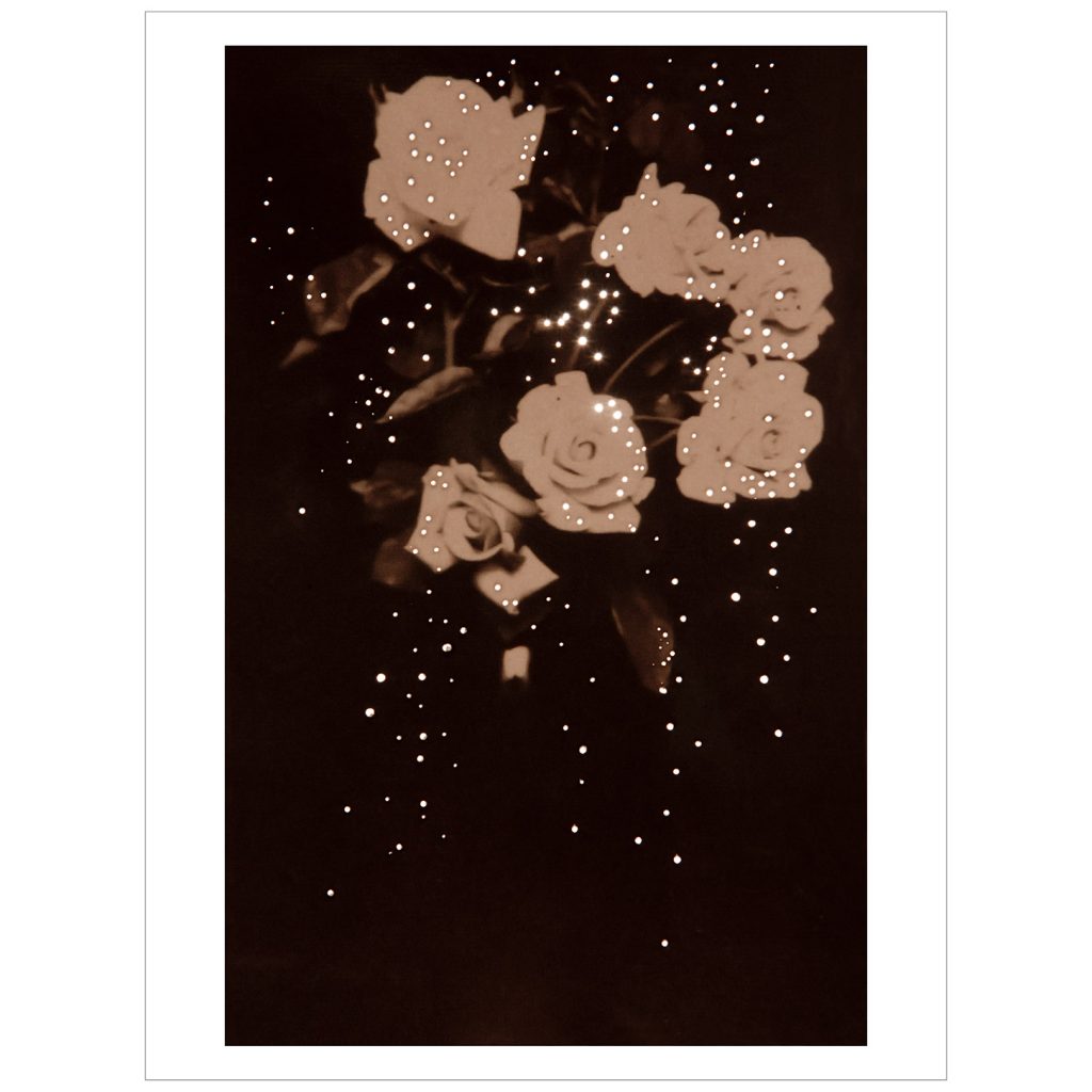 Mom'sRoses,1914_Picto