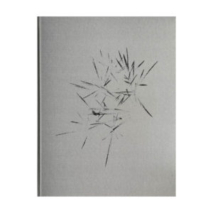 Edition limitée : On nous a dit qu’il n’y avait rien et nous sommes allés le chercher Israel Ariño