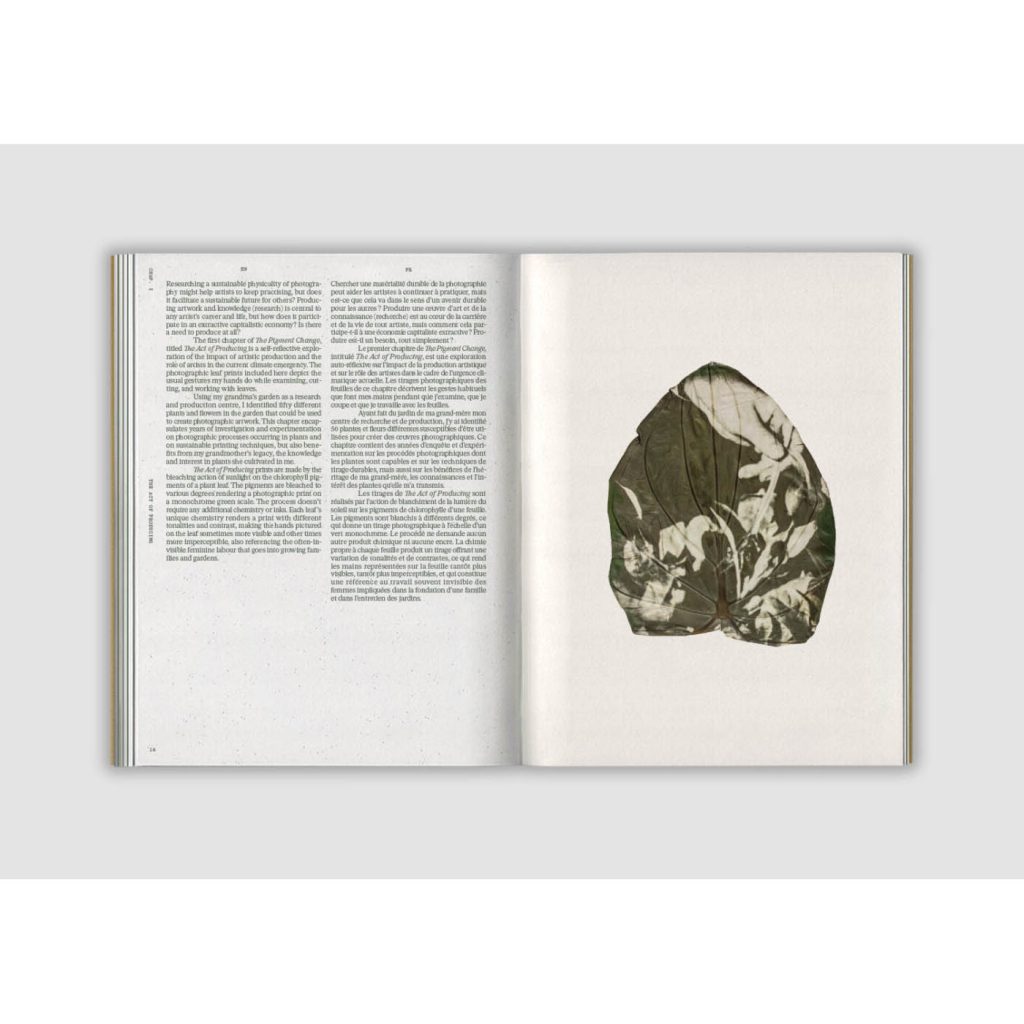 FISHEYE-ALMUDENA-ROMERO-THE-PIGMENT-CHANGE-03-1536x1005 copie