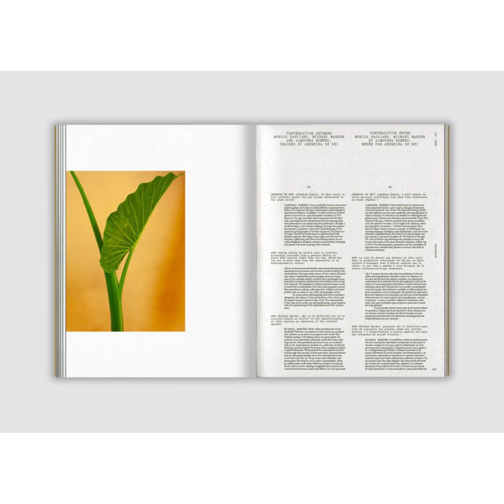 FISHEYE-ALMUDENA-ROMERO-THE-PIGMENT-CHANGE-04-1536x1005 copie