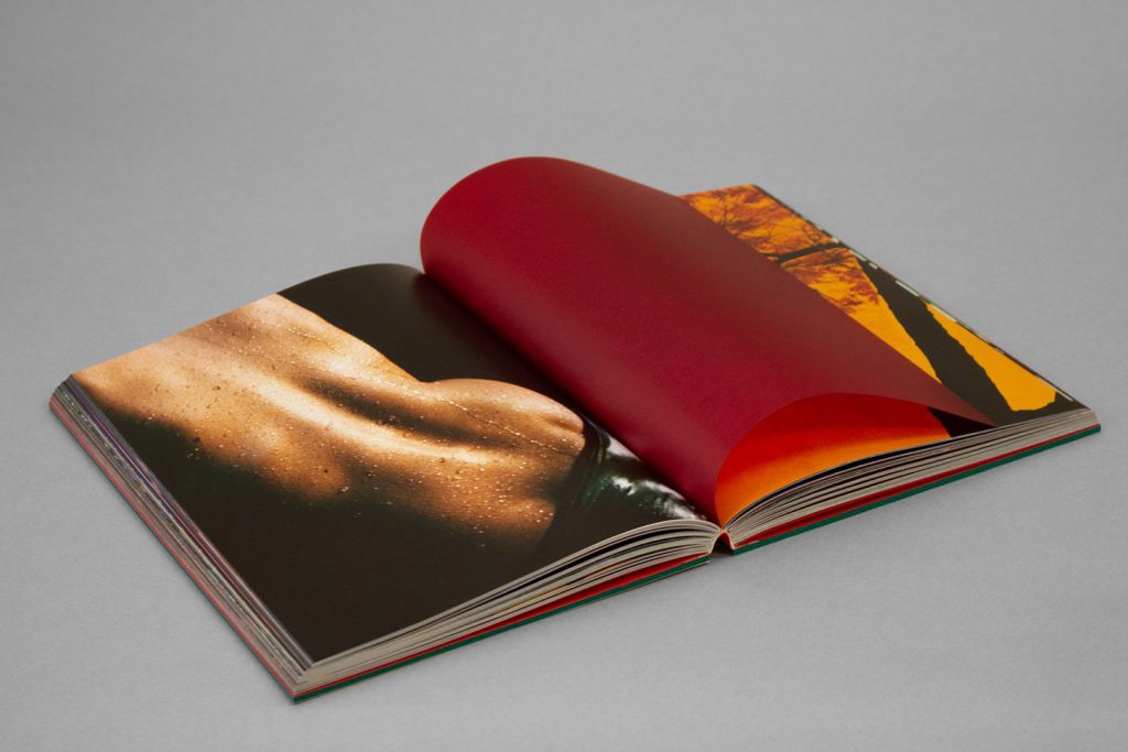 file-b-1701253921493