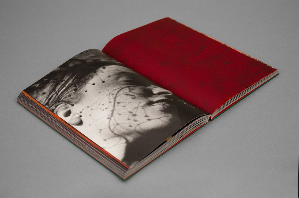 file-b-1701254279881