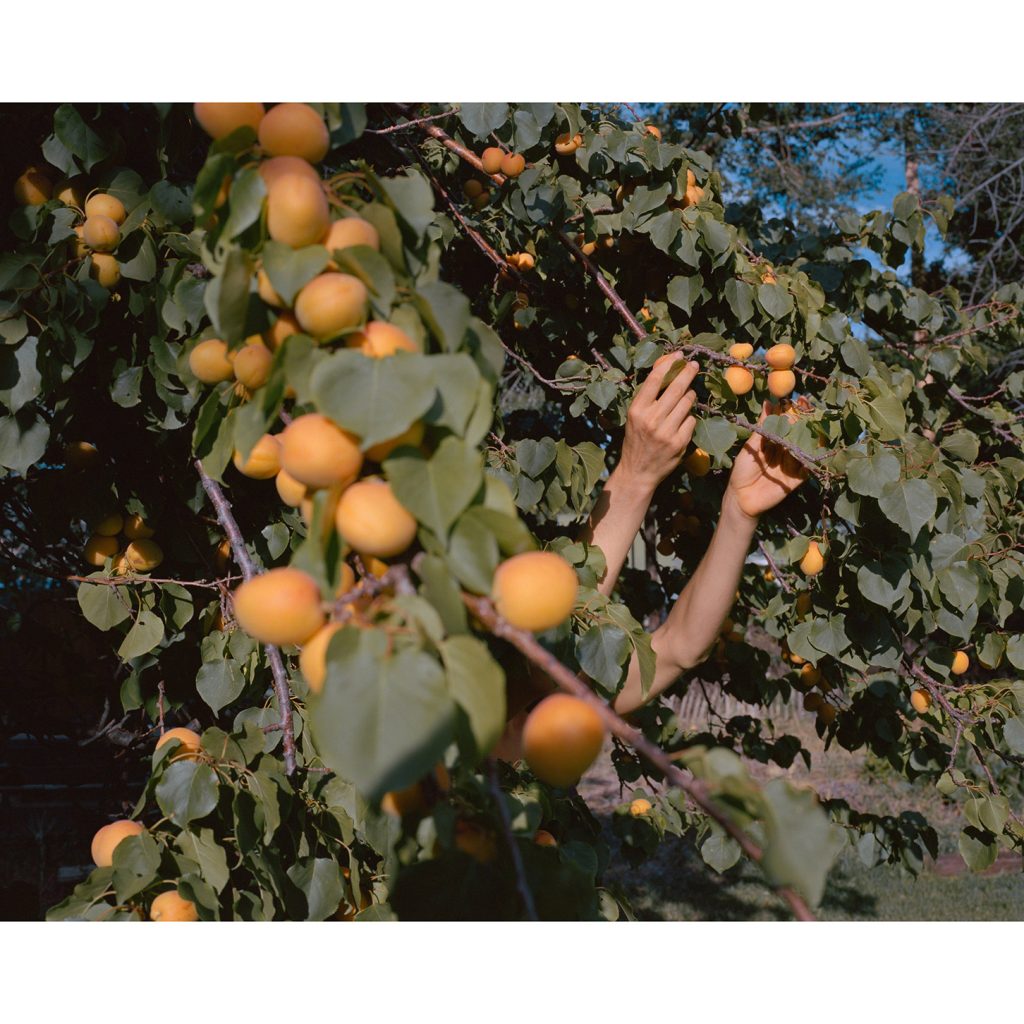 trentdavisbailey_thenorthfork_15