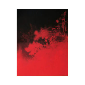 Broken Spectre, Richard Mosse