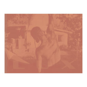 LUX, Guillaume Perret