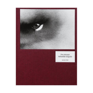 Des oiseaux, Sebastião Salgado