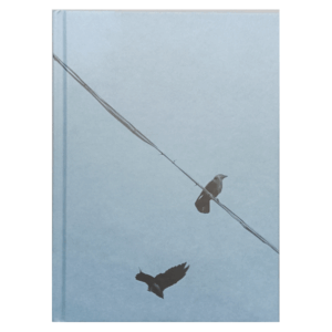 Der Engel, Iacopo Pasqui