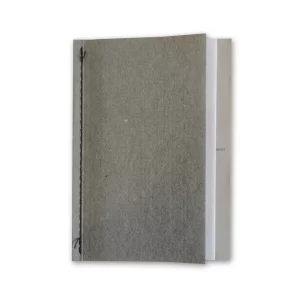 Correspondence, Hajime Kimura