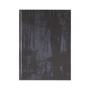 Echo of Photons, Susann Carmen Jagodzińska