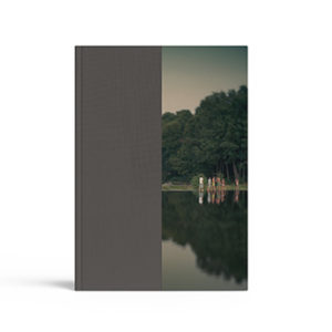 Sucedió entre dos párpados, Castro Prieto