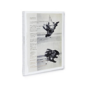 Carmen Winant, Arrangements