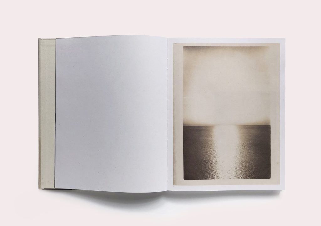 PellediLava_Indelicato3