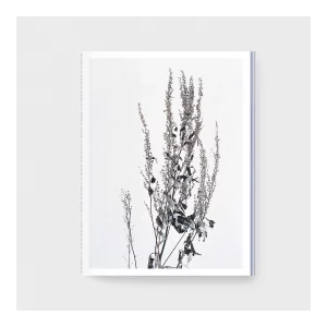 Hokkaido is blue, white and gold, Yann Stofer