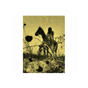 Aux ombres, Simon Vansteenwinckel